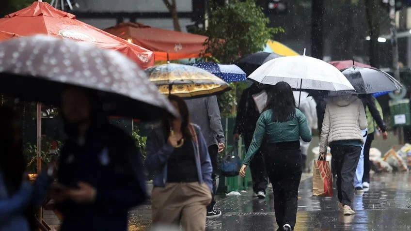 Urna, voto e guarda-chuva no Vale