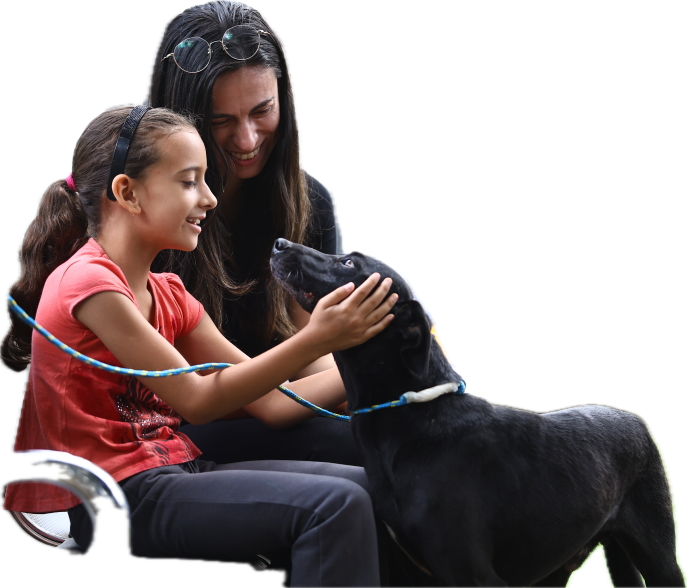 São José oferece veterinário vitalício para quem adotar pets idosos